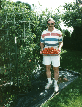 2M High Mega-Tomatoes